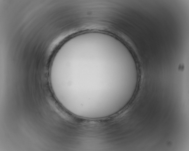X0000110721027200906121241