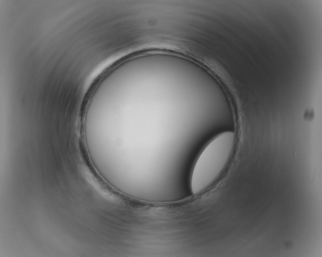 X0000110721028200906121241