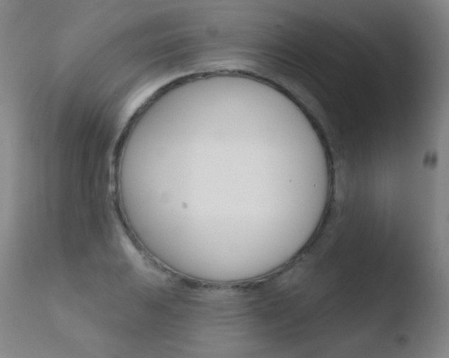 X0000110721031200906121241