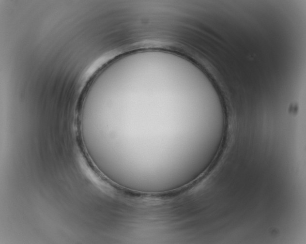 X0000110721034200906121241