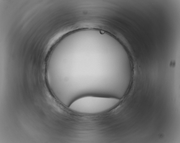 X0000110721035200906121241