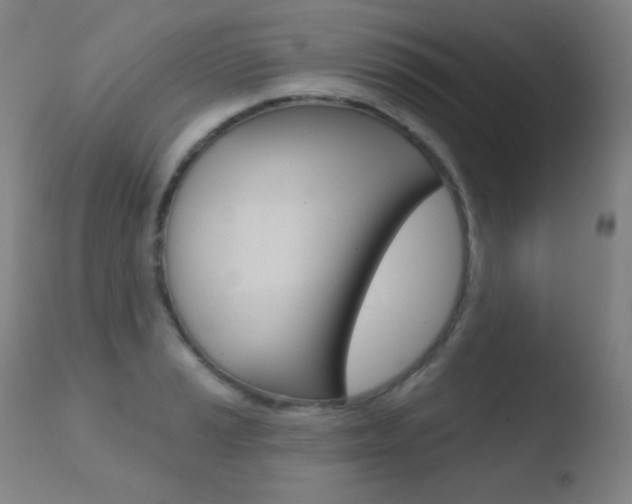 X0000110721037200906121241