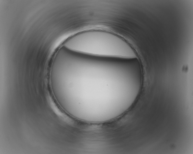 X0000110721038200906121241