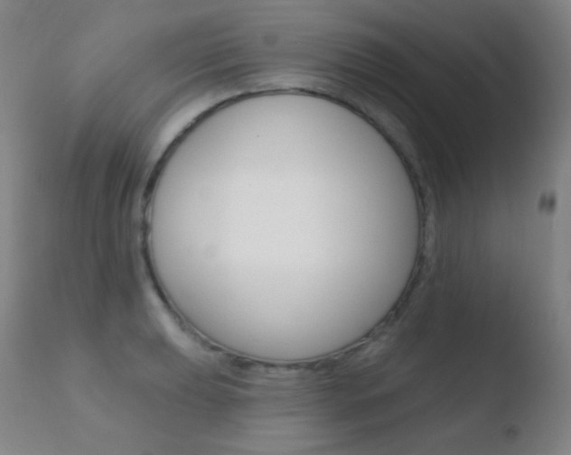 X0000110721039200906121241