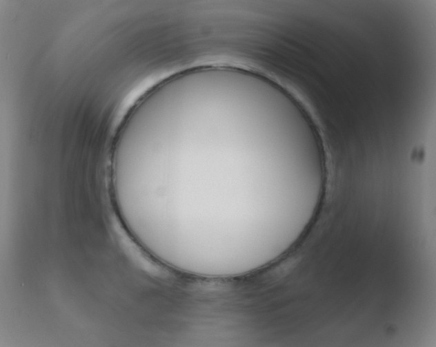 X0000110721040200906121241