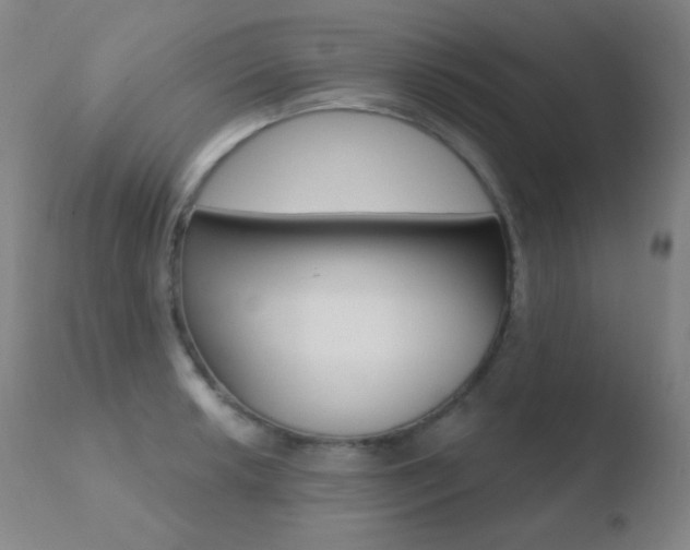 X0000110721042200906121241