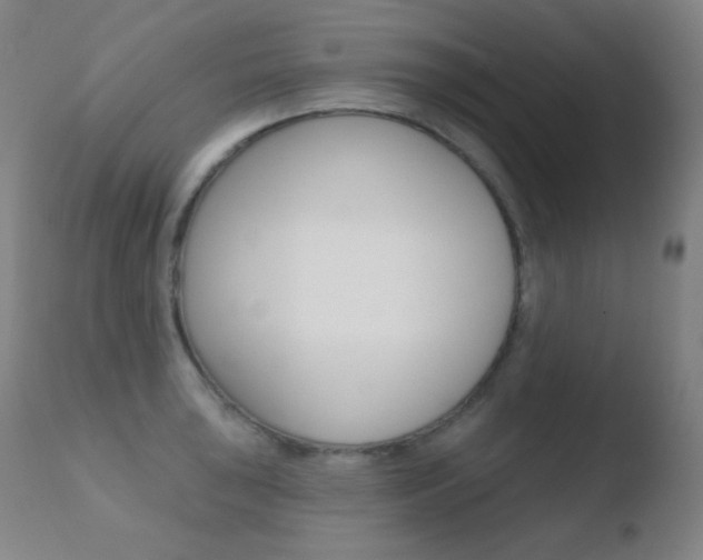 X0000110721043200906121241