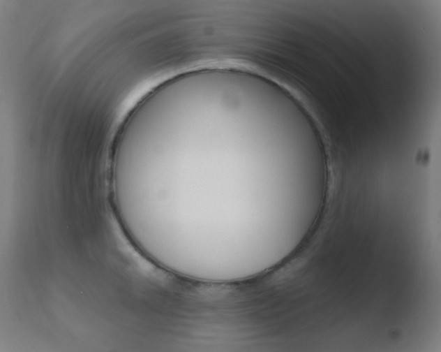 X0000110721046200906121241