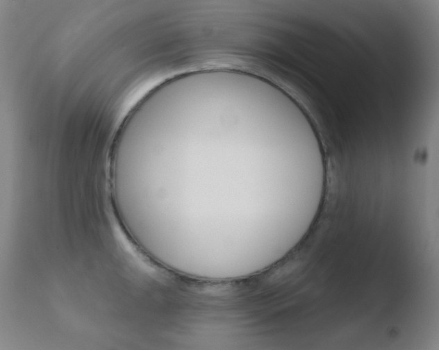 X0000110721047200906121241