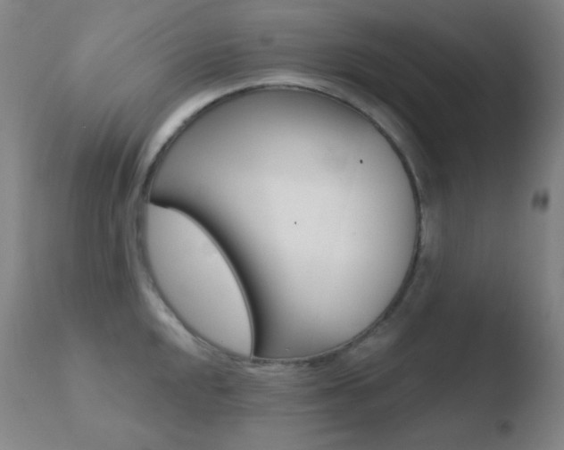 X0000110721048200906121241