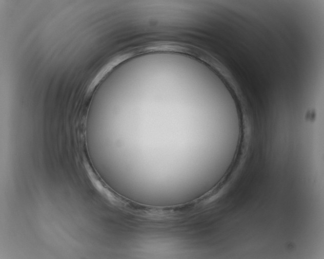 X0000110721049200906121241