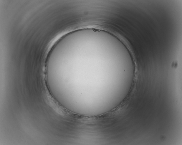 X0000110721051200906121242