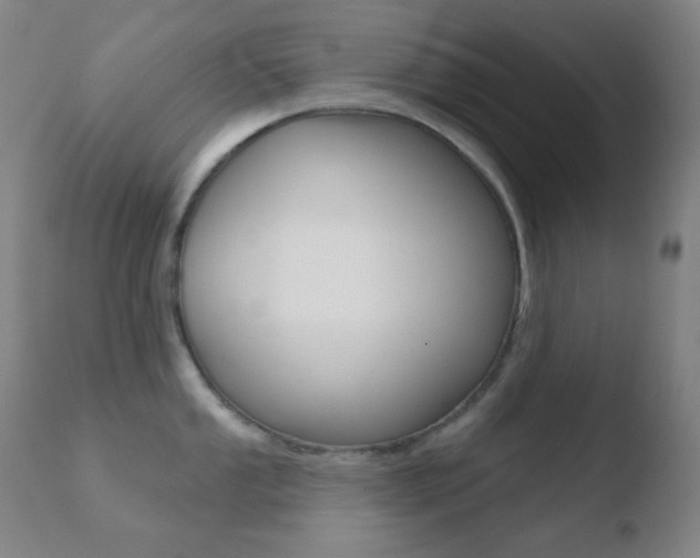 X0000110721053200906121242