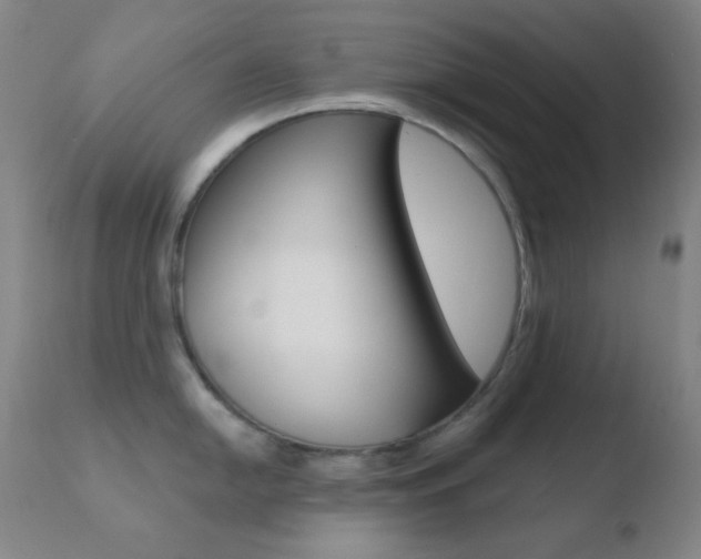 X0000110721054200906121242
