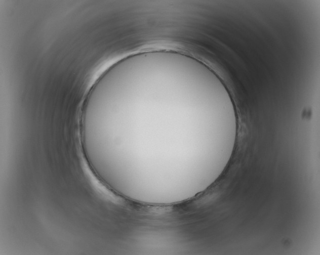 X0000110721055200906121242