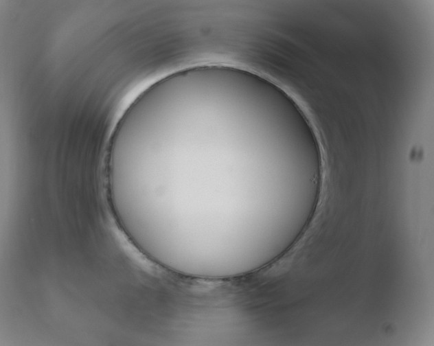 X0000110721056200906121242