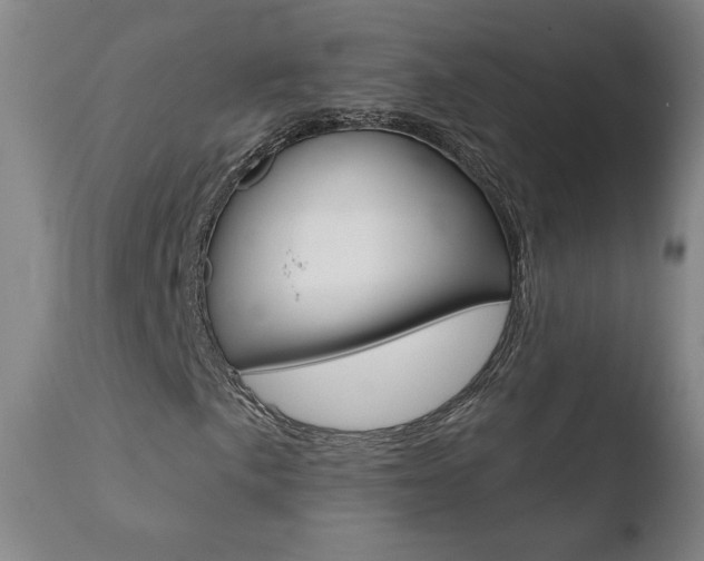 X0000110721057200906121241