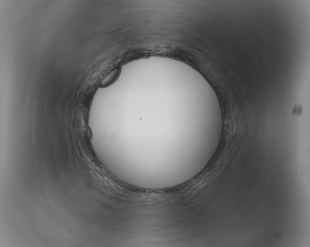 X0000110721058200906121241
