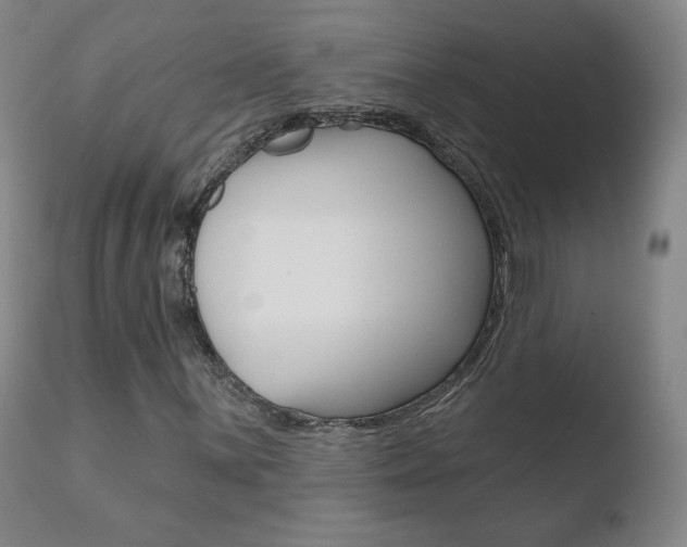 X0000110721059200906121241
