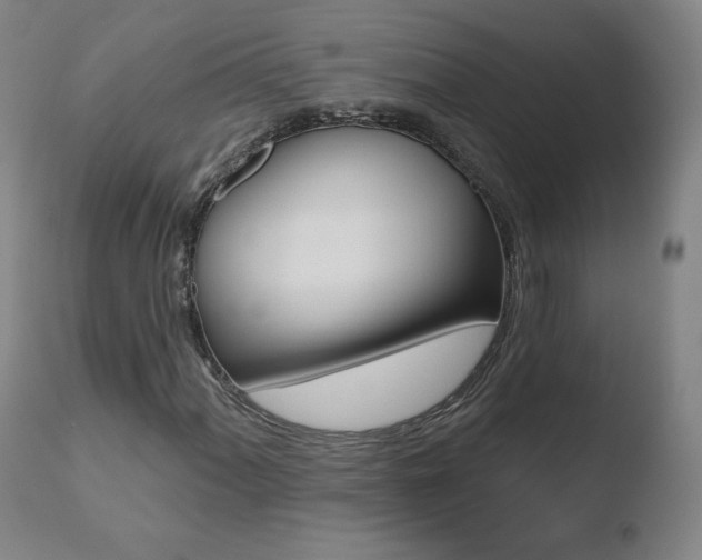 X0000110721060200906121241