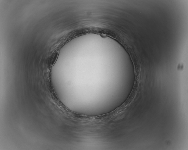 X0000110721061200906121241