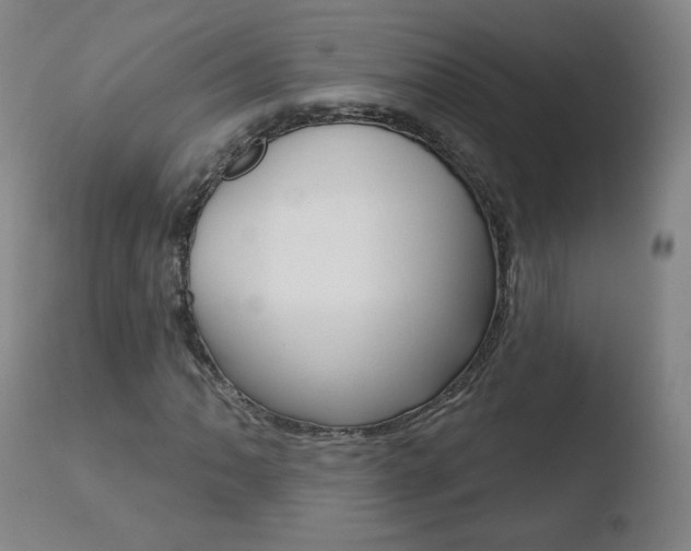X0000110721062200906121241