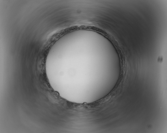 X0000110721063200906121241