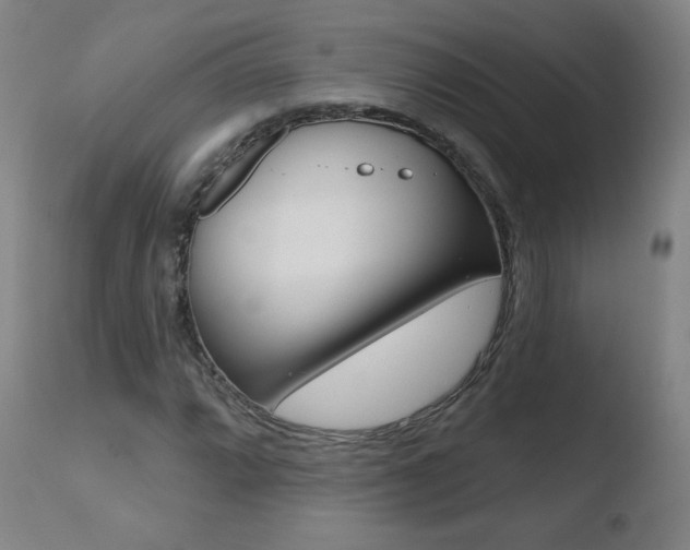 X0000110721064200906121241