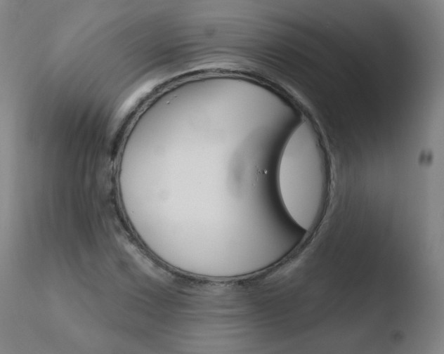 X0000110721067200906121241