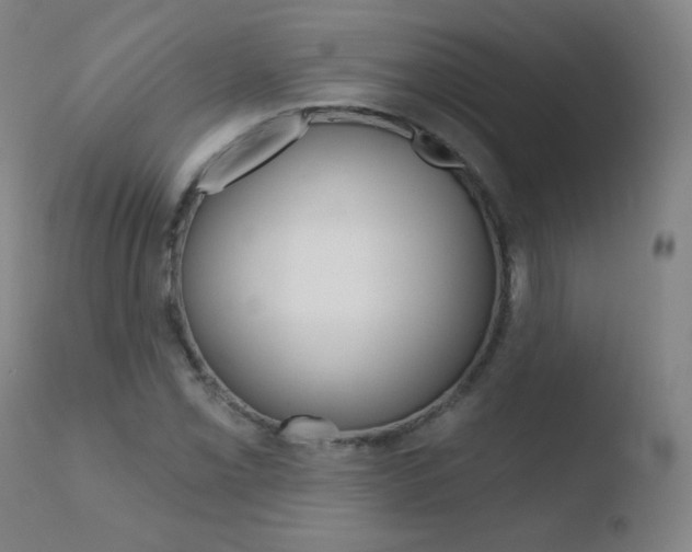 X0000110721069200906121241