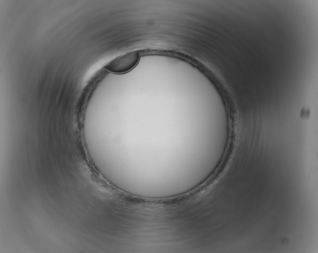 X0000110721070200906121241