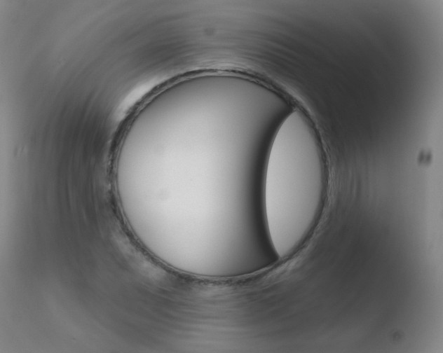 X0000110721071200906121241