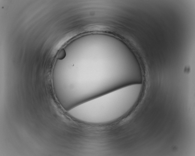 X0000110721073200906121241