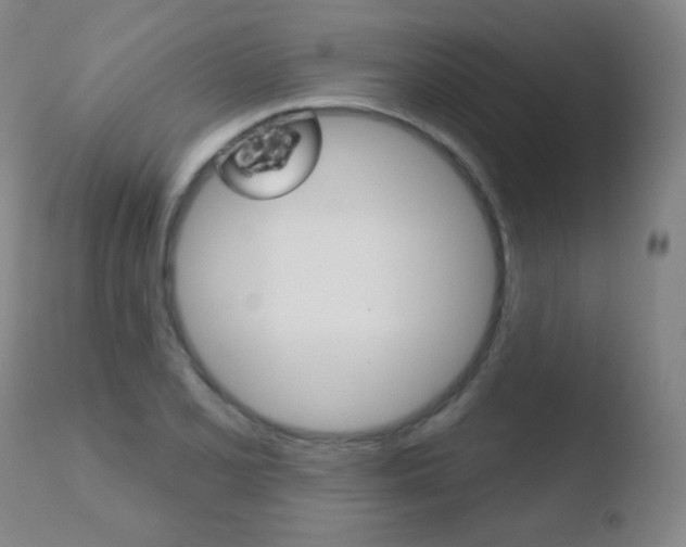X0000110721077200906121240
