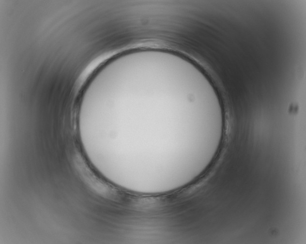 X0000110721078200906121240