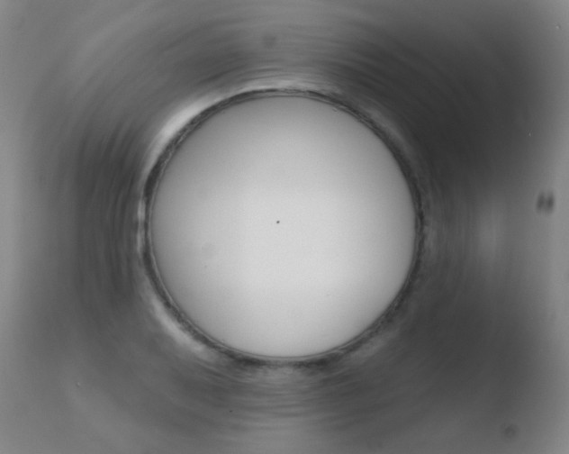 X0000110721079200906121240