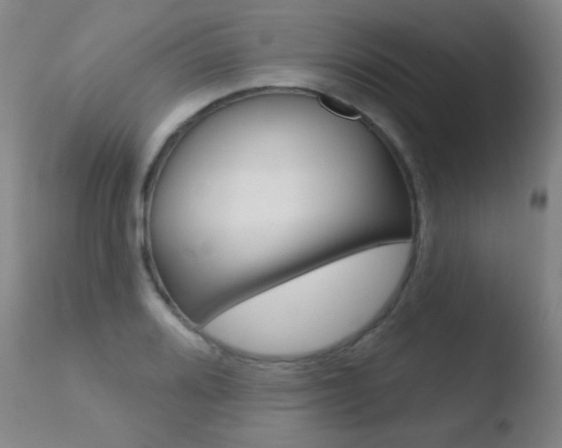 X0000110721080200906121240