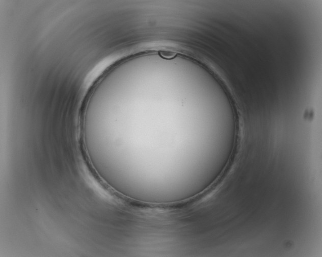 X0000110721082200906121240
