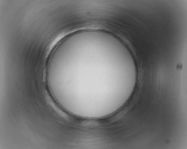 X0000110721083200906121240