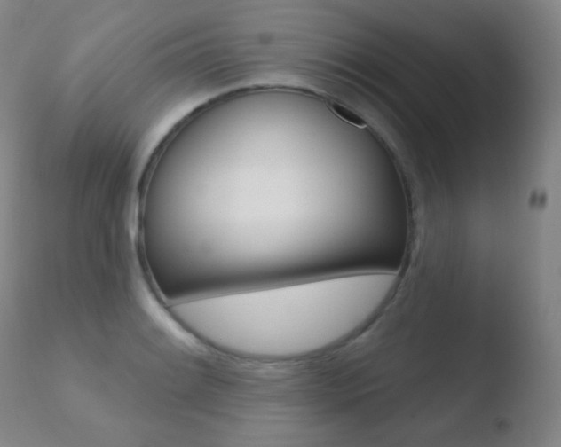 X0000110721084200906121240
