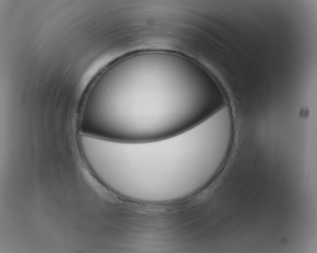 X0000110721085200906121240