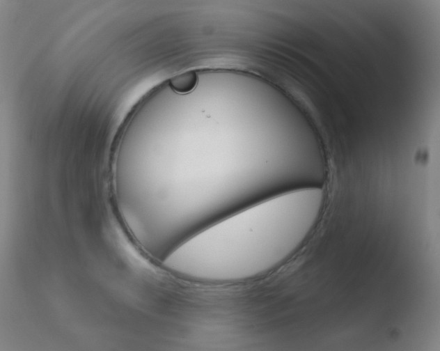 X0000110721087200906121240