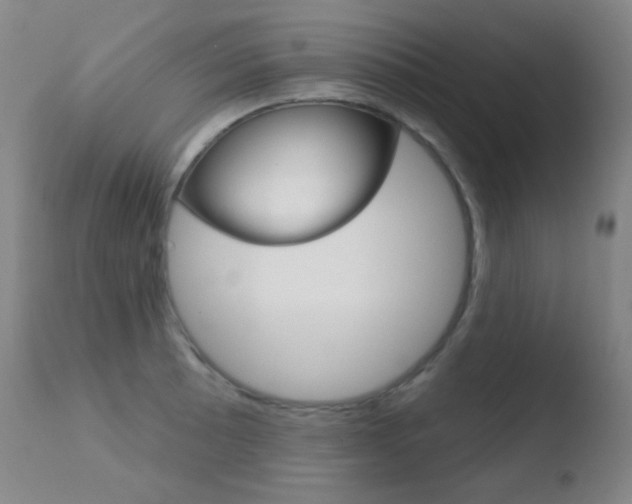 X0000110721089200906121240