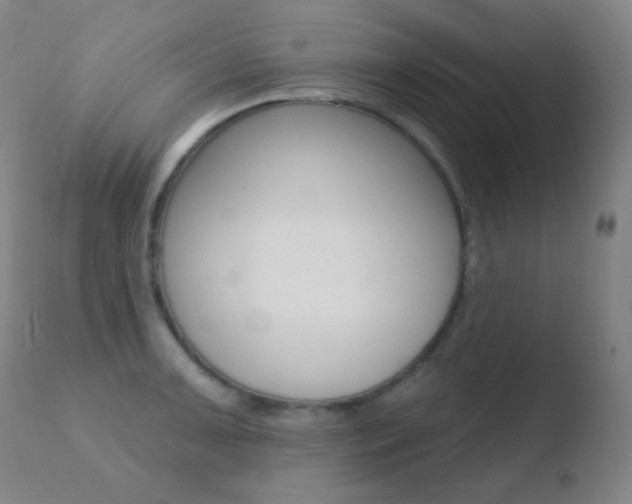 X0000110721091200906121240