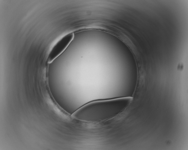 X0000110721092200906121240