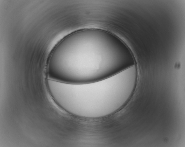 X0000110721093200906121240