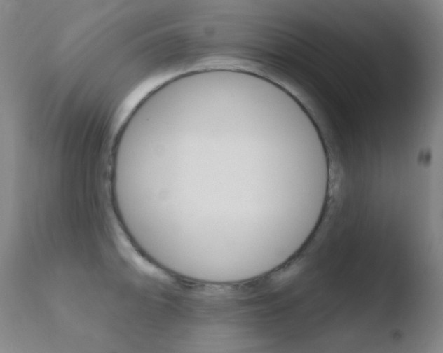 X0000110721094200906121240