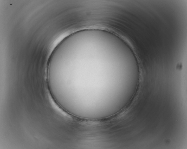 X0000110721095200906121240