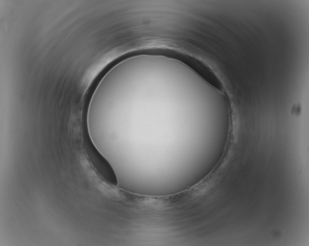X0000110721097200906121240