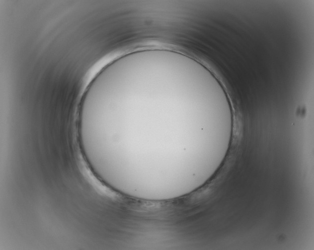 X0000110721098200906121240